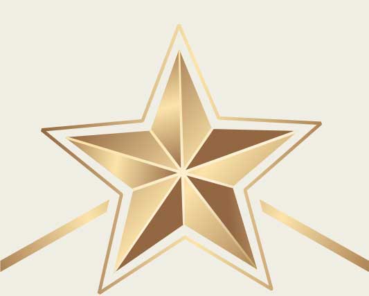 Gold star to designate the gold sponsorship level
